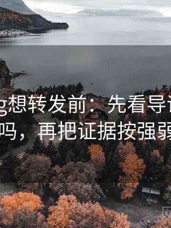 糖心Vlog想转发前：先看导语先定调了吗，再把证据按强弱排