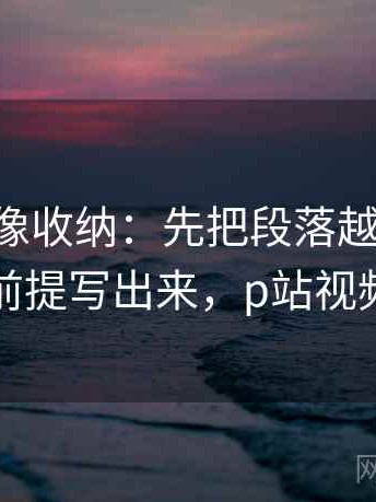 p站视频像收纳：先把段落越级了吗归位再把前提写出来，p站视频好看的